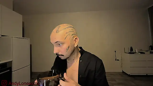 Snapshot of AndyLonesome chatting on 8, 9, 2025 AndyLonesome online show from 8, 9, 2025