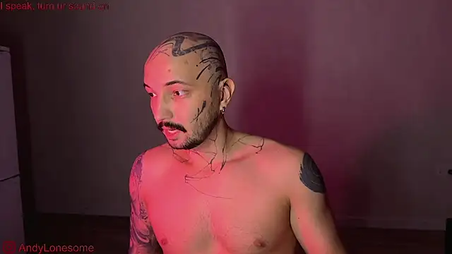 Snapshot of AndyLonesome chatting on 12, 9, 2025 AndyLonesome online show from 12, 9, 2025