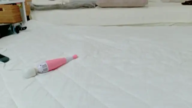 -barbapapa- online show from 27, 3, 2026