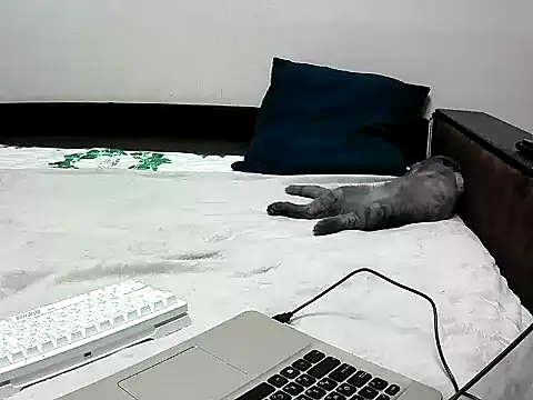 Snapshot of black_lany chatting on 22, 9, 2025 black lany online show from 22, 9, 2025