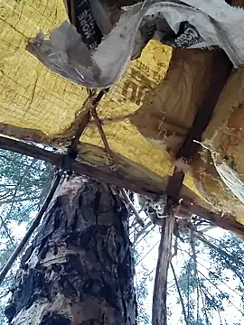 Snapshot of Janvi_Jaitly chatting on 23, 11, 2025 Janvi Jaitly online show from 23, 11, 2025