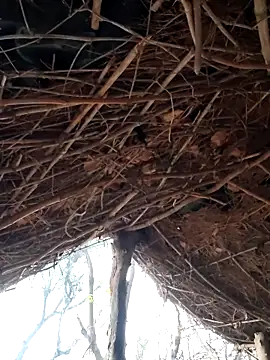 Snapshot of Janvi_Jaitly chatting on 5, 12, 2025 Janvi Jaitly online show from 5, 12, 2025