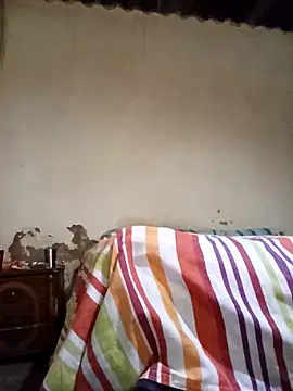 average price online show from 12, 11, 2025