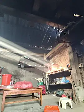 siki-00 online show from 12, 1, 2026