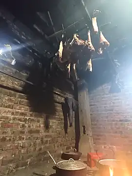 siki-00 online show from 12, 2, 2026