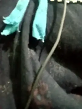 Snapshot of Telugu_hot_cpl chatting on 16, 12, 2025 Telugu hot cpl online show from 16, 12, 2025