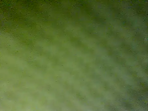 Snapshot of honestglacier9 chatting on 17, 10, 2025 honestglacier9 online show from 17, 10, 2025