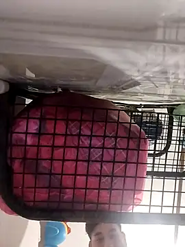 Snapshot of Ferxxxo1503 chatting on 5, 11, 2025 Ferxxxo1503 online show from 5, 11, 2025