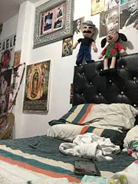 elpeluchenegroxxx3 online show from 2, 3, 2026