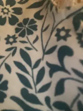 9ahbouna89sox online show from 11, 9, 2025