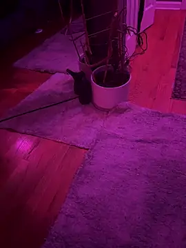 Snapshot of twunkwitadunk chatting on 22, 11, 2025 twunkwitadunk online show from 22, 11, 2025