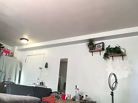 littyleesh1 online show from 13, 1, 2026