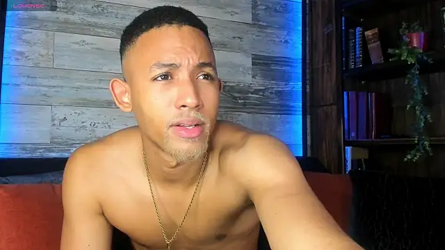 B Wild online show from 26, 3, 2026