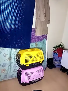 kittymutant99 online show from 22, 12, 2025