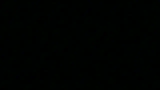 Snapshot of Pyrelissa chatting on 4, 12, 2025 Pyrelissa online show from 4, 12, 2025