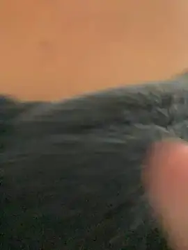    seusegredo online show from 4, 2, 2026