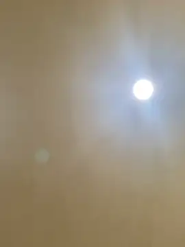 aalvaro98 online show from 4, 2, 2026