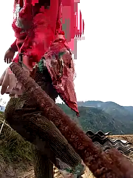 SSexykute3456 online show from 24, 11, 2025