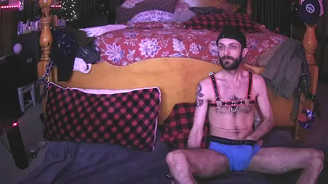 Snapshot of HarmoniousPhantasm3 chatting on 4, 11, 2025 HarmoniousPhantasm3 online show from 4, 11, 2025