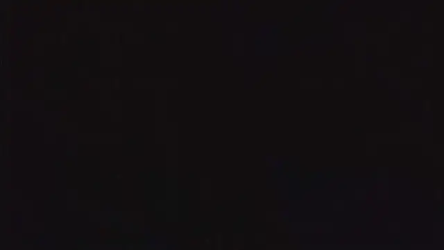 Snapshot of SienaWild chatting on 22, 12, 2025 SienaWild online show from 22, 12, 2025