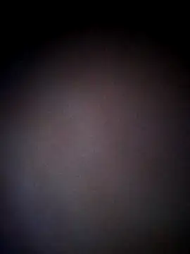 Snapshot of thehotlady chatting on 24, 10, 2025 thehotlady online show from 24, 10, 2025