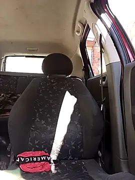 Snapshot of IssuedEcho chatting on 28, 2, 2026 IssuedEcho online show from 28, 2, 2026