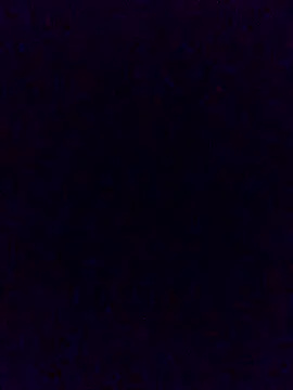 Snapshot of Cachorrinha2025 chatting on 21, 11, 2025 Cachorrinha2025 online show from 21, 11, 2025