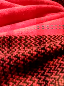 Snapshot of Aaisha-16 chatting on 15, 12, 2025 Aaisha-16 online show from 15, 12, 2025