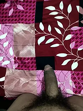 Snapshot of bold_guy_1234 chatting on 22, 10, 2025 bold guy 1234 online show from 22, 10, 2025