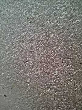 bold guy 1234 online show from 30, 3, 2026