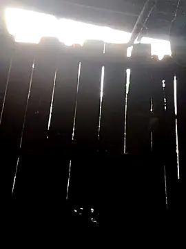 Snapshot of donna-bae chatting on 10, 10, 2025 donna-bae online show from 10, 10, 2025