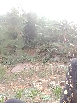 donna-bae online show from 12, 4, 2026