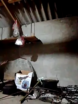 donna-bae online show from 12, 4, 2026