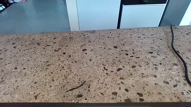 Snapshot of cruelworldxxx chatting on 14, 2, 2026 cruelworldxxx online show from 14, 2, 2026