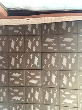 Snapshot of pualldu chatting on 23, 11, 2025 pualldu online show from 23, 11, 2025