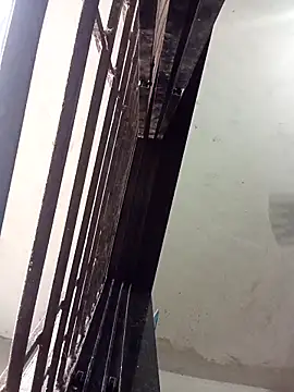 ipvk online show from 24, 3, 2026