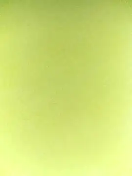 ipvk online show from 7, 4, 2026