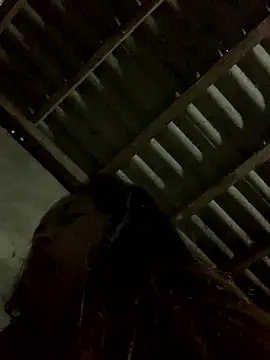 Halyy xx online show from 12, 1, 2026