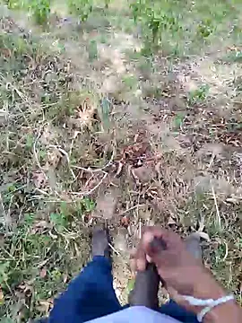 Snapshot of DICKLANKA chatting on 23, 9, 2025 DICKLANKA online show from 23, 9, 2025