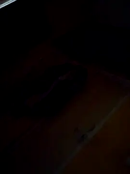 Snapshot of Sumitx007 chatting on 24, 9, 2025 Sumitx007 online show from 24, 9, 2025