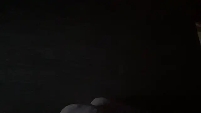 owliecat online show from 14, 6, 2026