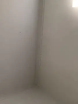 Fun size86 online show from 4, 10, 2025