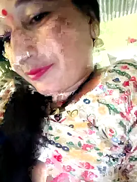 Haliya88 online show from 2, 11, 2025