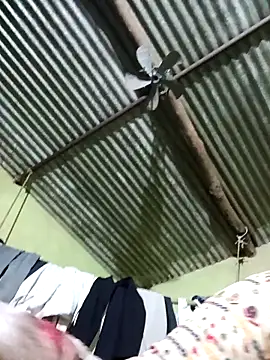 Haliya88 online show from 26, 2, 2026