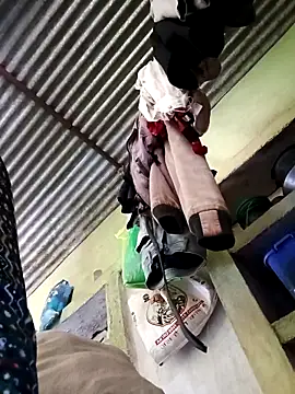 Haliya88 online show from 1, 3, 2026