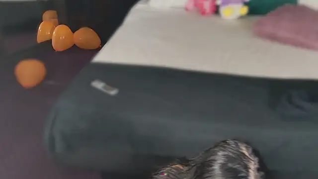 Snapshot of MeganSin_ chatting on 6, 11, 2025 MeganSin online show from 6, 11, 2025