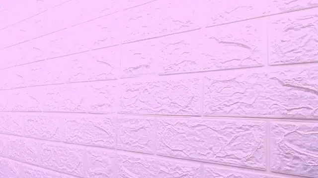 kat 96  online show from 24, 2, 2026