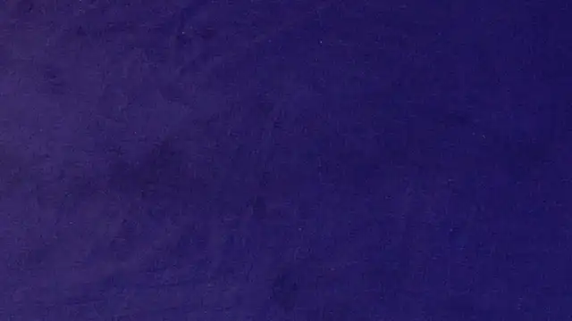 big bearr online show from 12, 10, 2025