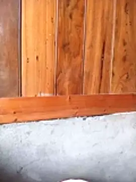 Snapshot of Mai_lovely chatting on 27, 2, 2026 Mai lovely online show from 27, 2, 2026