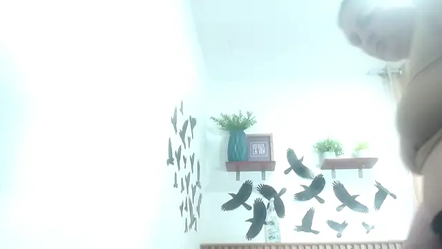 Snapshot of SweetRouse__ chatting on 19, 11, 2025 SweetRouse online show from 19, 11, 2025